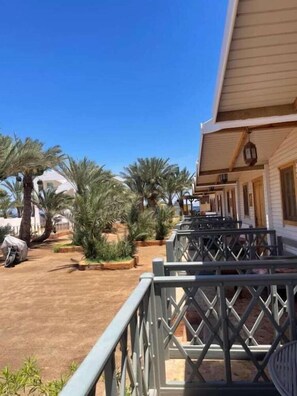 Terrace/patio - Shams Hotel and Dive Centre (Dahab)