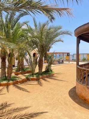 Property grounds - Shams Hotel and Dive Centre (Dahab)