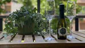 Un tavolo con due bicchieri da vino e una bottiglia, circondato da piante.