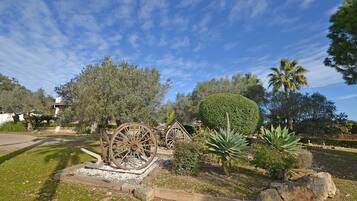 Terrein van de accommodatie
