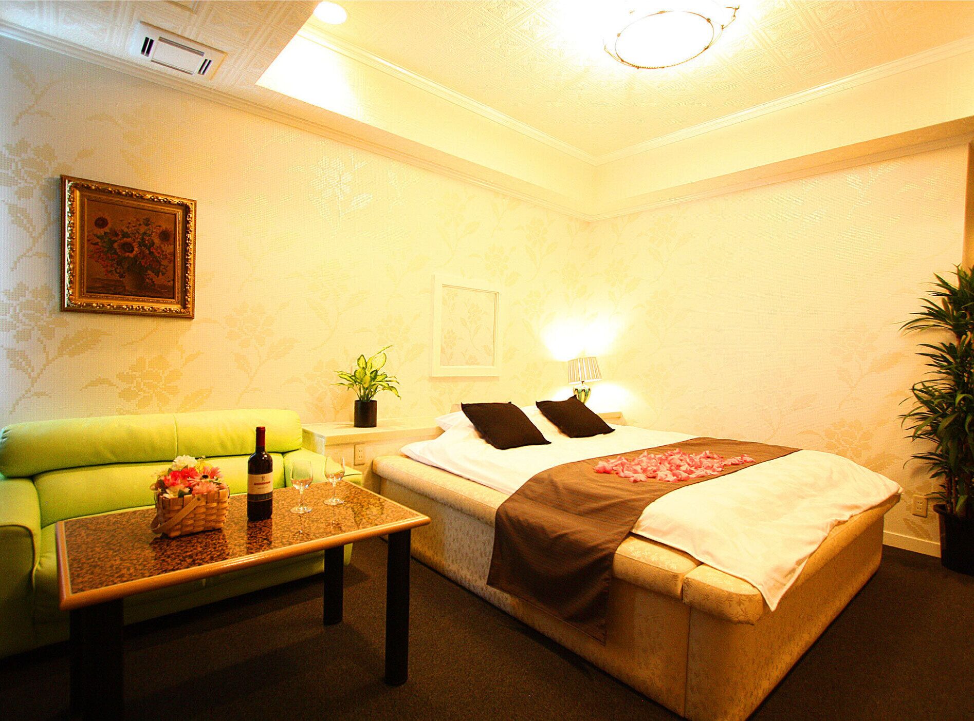 واي فاي مجانًا