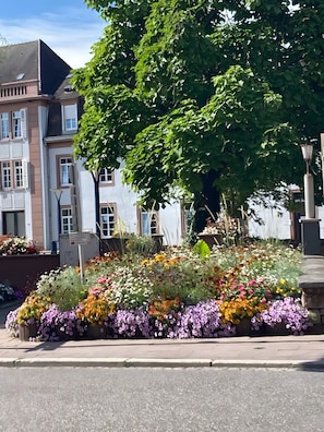 A street with a flower bed, a tree, and a building with multiple windows.