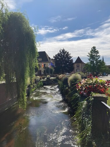 Furnished 3-Star Studio in the Heart of Niederbronn-les-Bains, Alsace