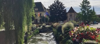 Furnished 3-Star Studio in the Heart of Niederbronn-les-Bains, Alsace