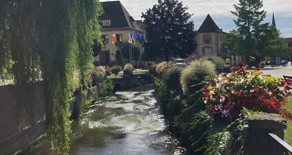 Furnished 3-Star Studio in the Heart of Niederbronn-les-Bains, Alsace