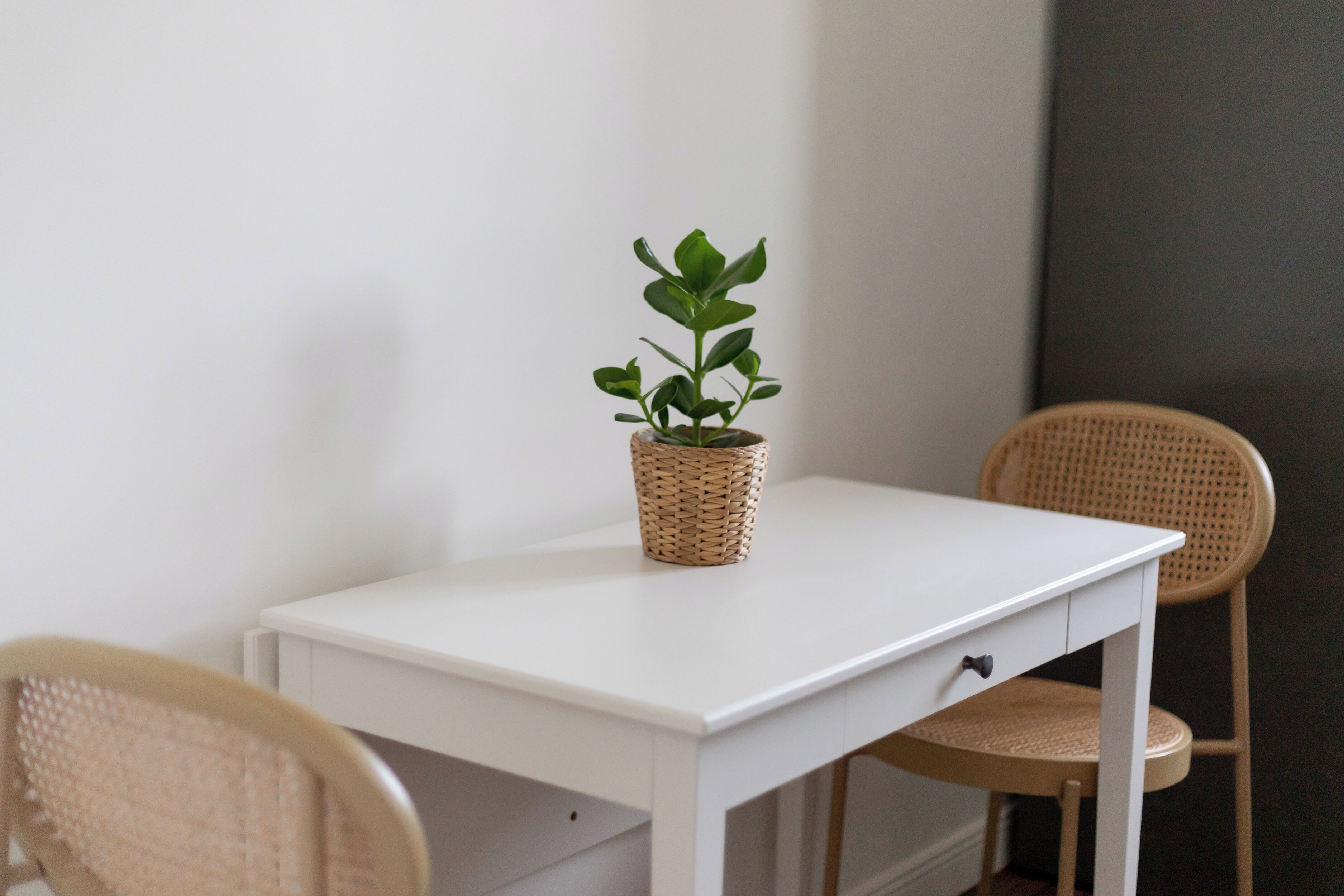 A white desk with a woven basket containing a plant, two wicker chairs, and a white drawer.