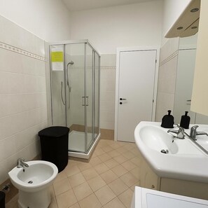 Hair dryer, towels, soap, toilet paper - Aunt Pina Apartment (Caselle Torinese)