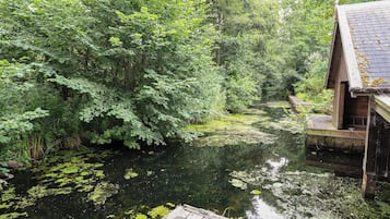 Vista sul fiume, con vegetazione fitta e un molo di legno che si protende nell'acqua.