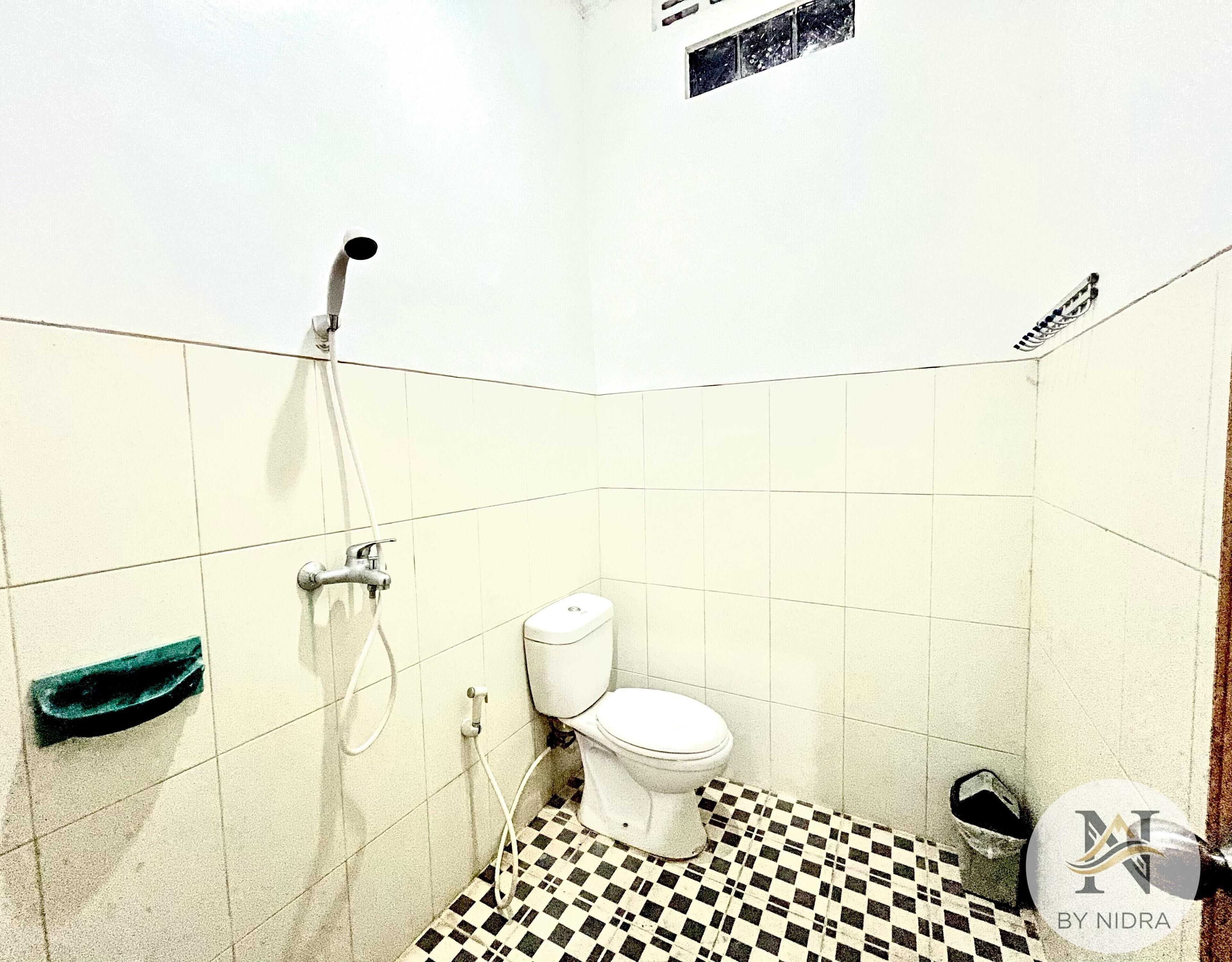 Shower, towels, toilet paper