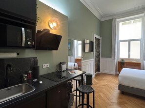 WiFi - Charming renovated studio downtown, pets allowed (Aix-les-Bains)