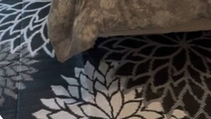 A bedroom with a bed, a nightstand, a lamp, and a framed picture on the wall.