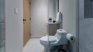 Moderni kylpyhuone, jossa on wc, lasinen suihkuseinä ja peili.