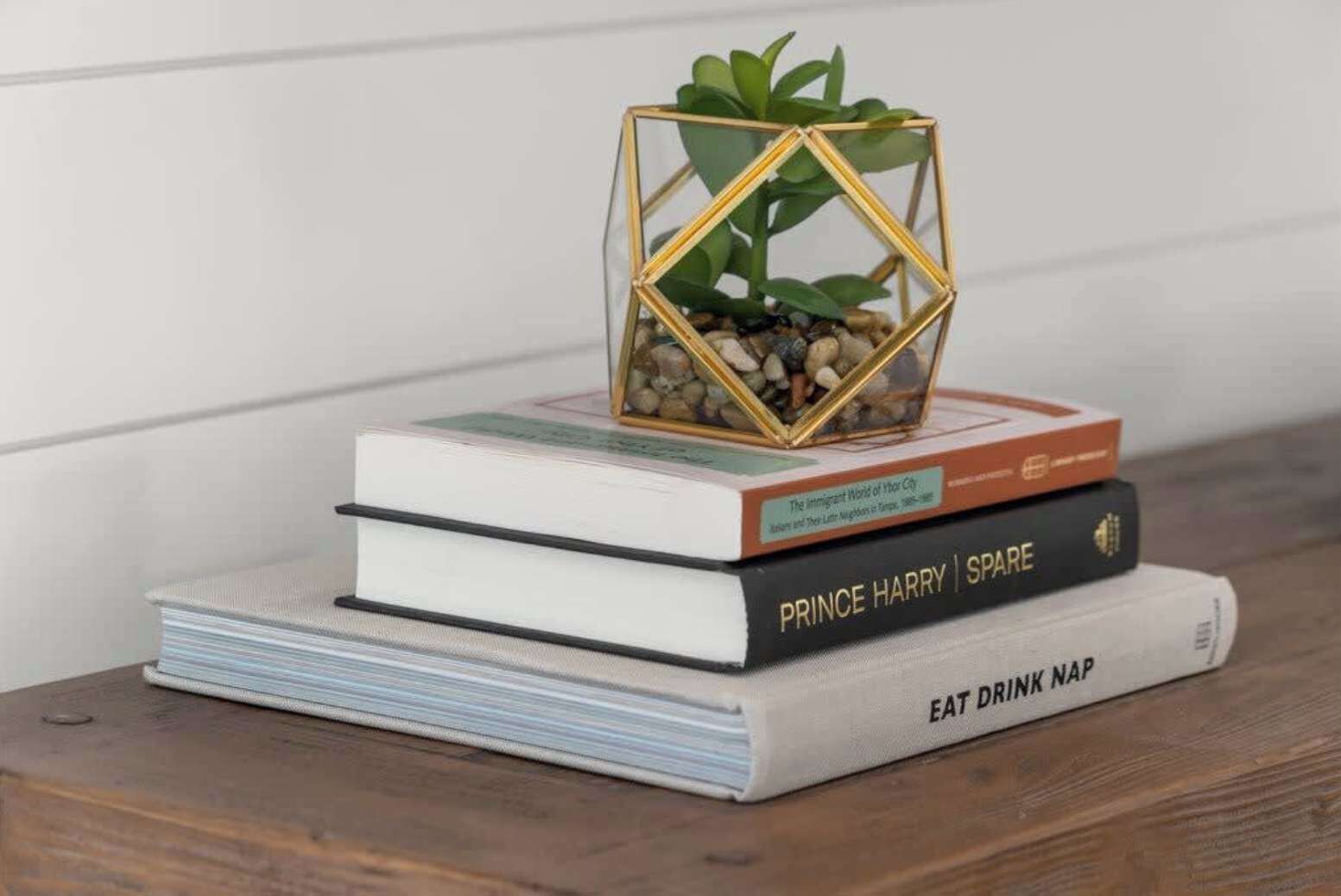 A stack of books with a small plant in a geometric container on top.