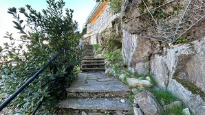 Unclassified image, 2 of 32, button - Suite Federico by Lago Maggiore Rentals (Cannobio)