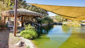 House (1 Bedroom) | Interior