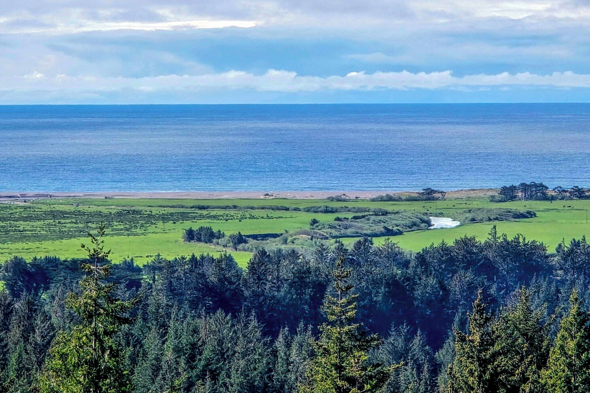 A coastal landscape with a view of the sea, a river, and a forested area.