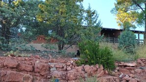 A rustic outdoor area with a wooden cabin, rocky terrain, and various desert plants.