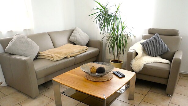 Uma sala de estar com sofá, poltrona, mesa de centro e um vaso de planta.