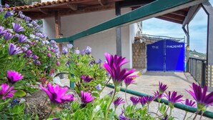 Ein Gebäudeeingang mit einem blauen Tor, auf dem 'The Phoenix' steht, umgeben von leuchtend violetten Blumen.