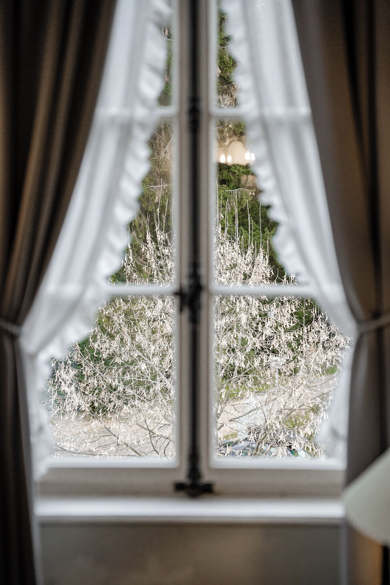 Garden view