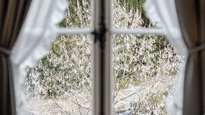 A window with white curtains, a view of a garden with trees and shrubs. - Villa Hedwig - Schwarzwald (Badenweiler)