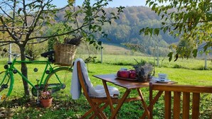 Un tavolo di legno con un cesto, una bicicletta verde e una sedia in una zona erbosa con vista su delle colline.