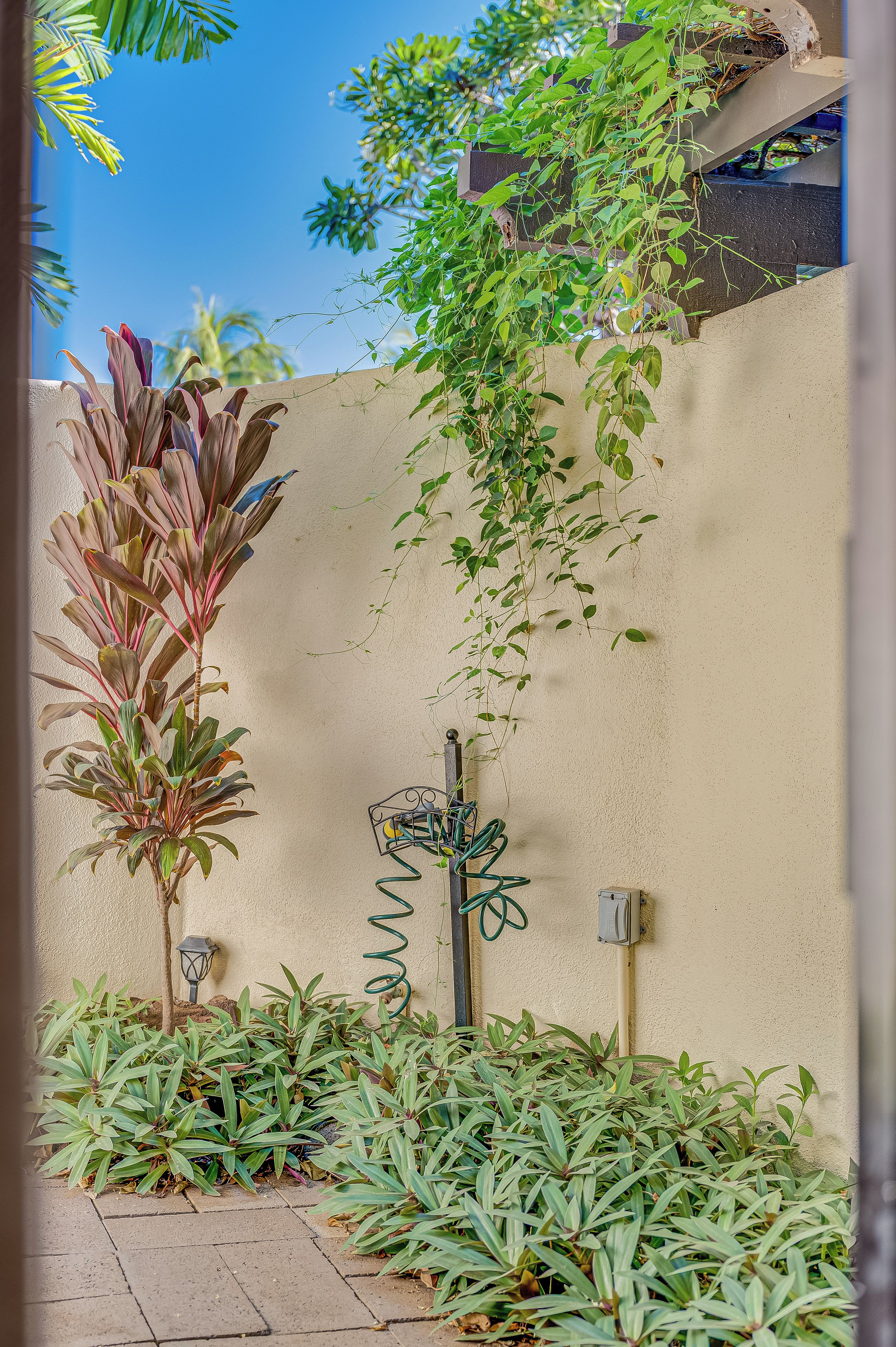 A garden with various plants and a wall-mounted light fixture.