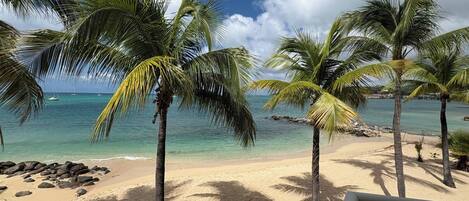 Plage, chaises longues, serviettes de plage