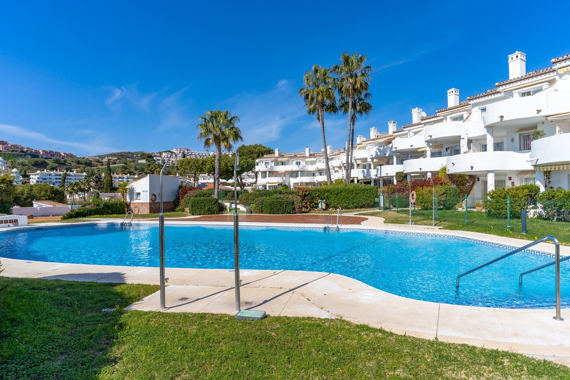 A swimming pool with a clear blue sky, surrounded by white buildings with balconies and palm trees.