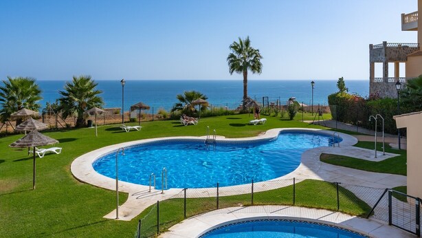 A swimming pool with a view of the sea, surrounded by grass and palm trees.