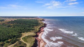En la playa y toallas de playa 