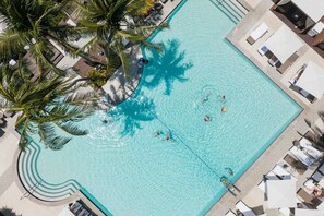 Pool - Newly Renovated Ritz-Carlton Key Biscayne Suite (Key biscayne)