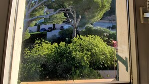 Una ventana con vista a un árbol y follaje.