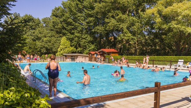 Une piscine entourée d’une végétation luxuriante et dotée d’une terrasse en bois.