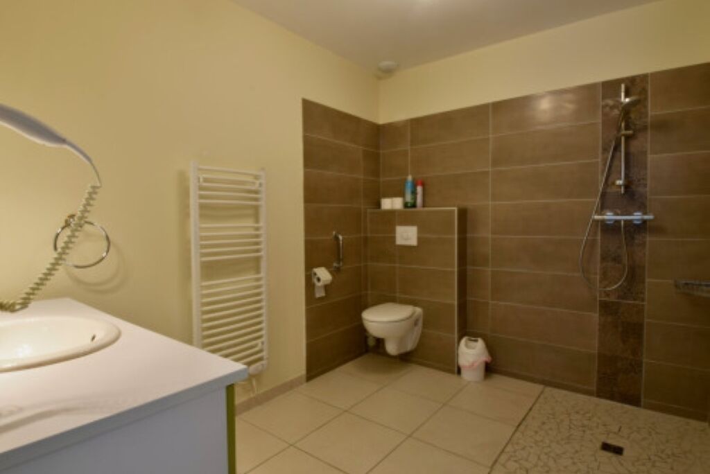 Une salle de bain avec un lavabo, des toilettes et une douche.