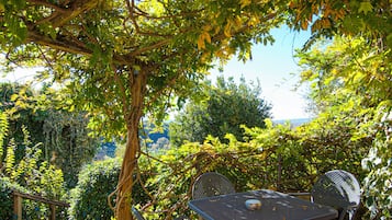 Apartment, 1 Bedroom, Hill View | Balcony