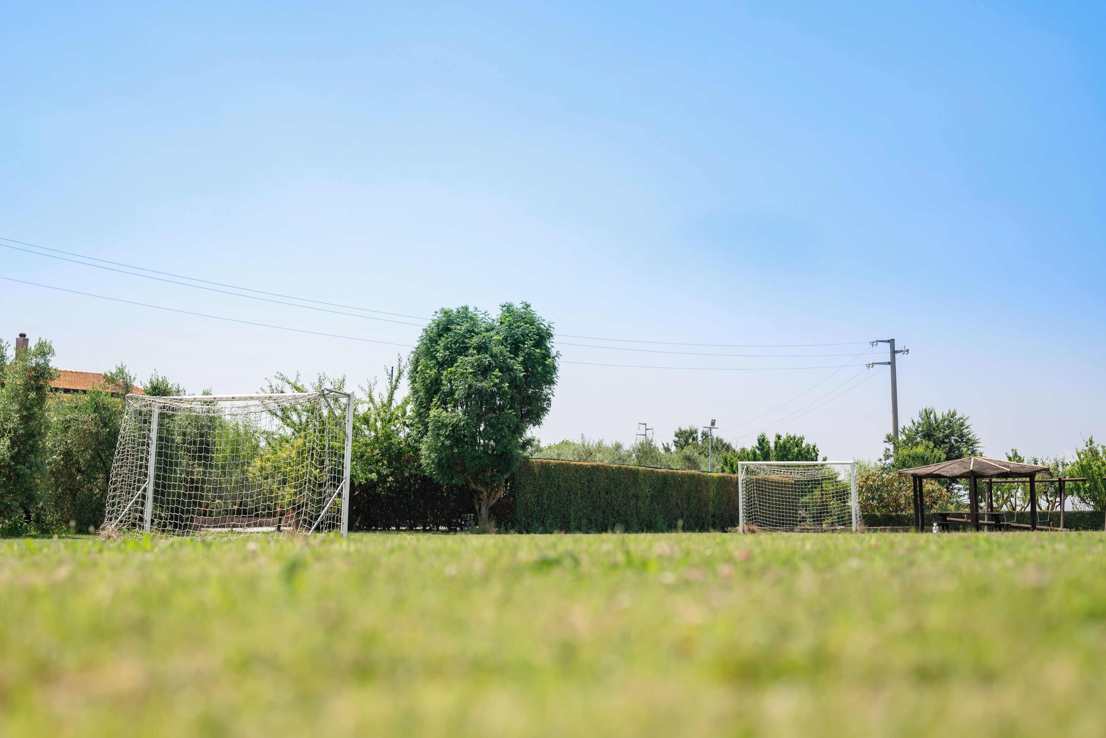 A soccer field with a goalpost, a tree, and a gazebo.