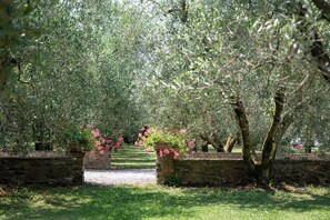 Property grounds - 9 TRILO GRANDE CASAVACANZE RIBOCCHI (Toscana)