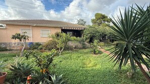 A house with a tiled roof, a garage, and a well-maintained garden with various plants and a palm tree.