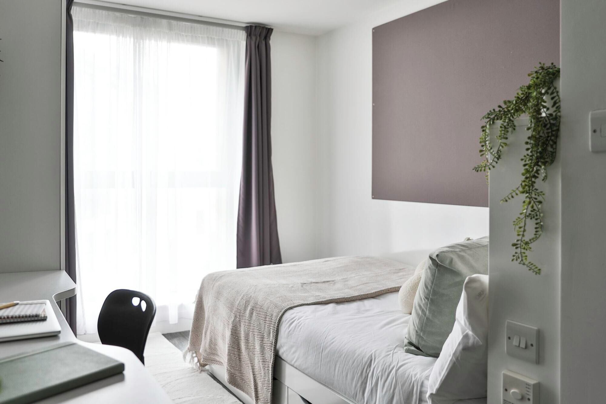 Single Room, Non Smoking | Free WiFi