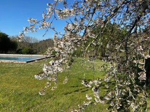 Pool - FORGET STRESS, THE PERIGORD COUNTRYSIDE IS GENTLE (Nouvelle-Aquitaine)