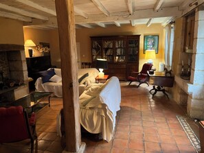 TV, fireplace - FORGET STRESS, THE PERIGORD COUNTRYSIDE IS GENTLE (Nouvelle-Aquitaine)