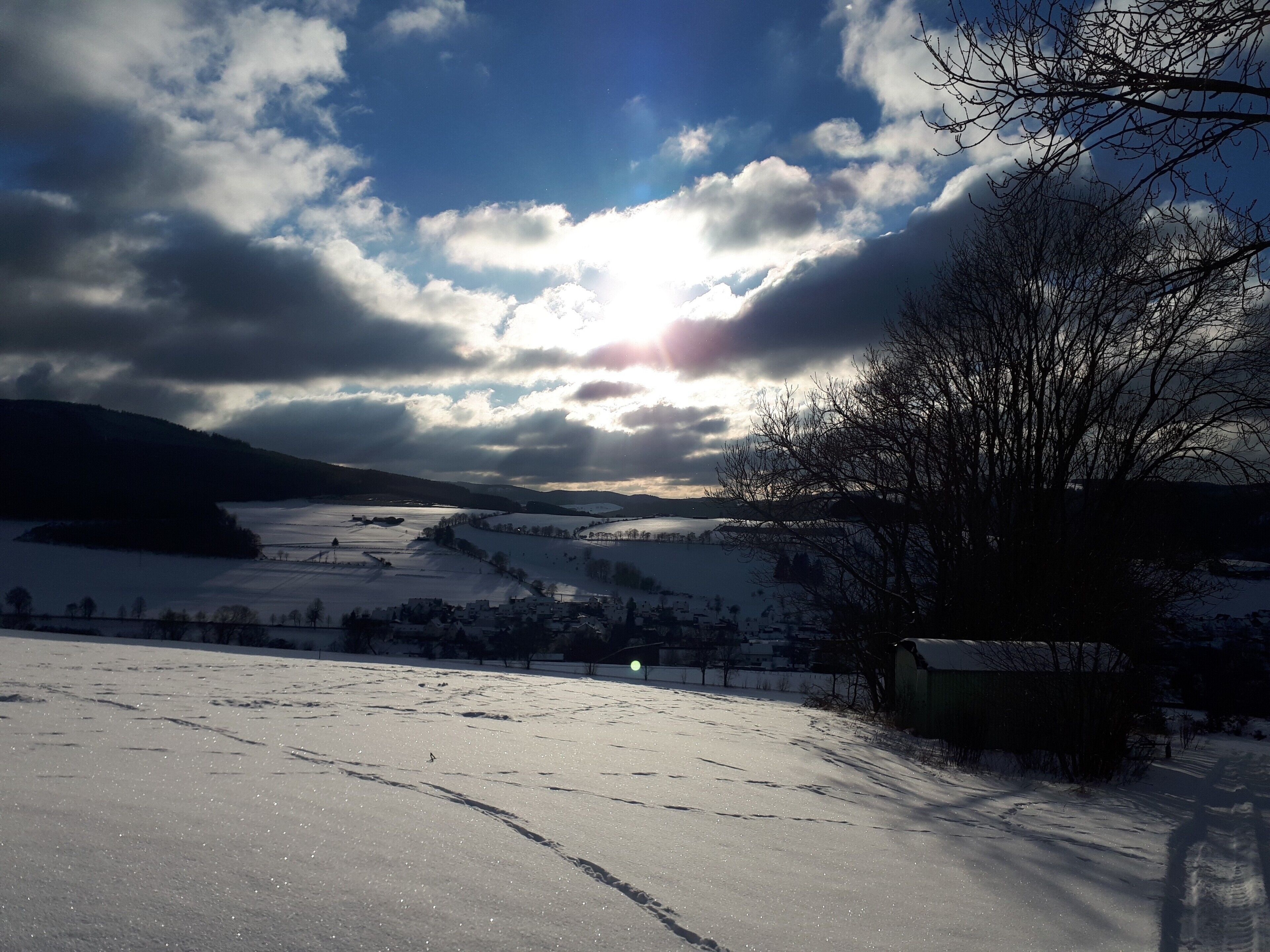 A snowy landscape with a clear sky and a tree in the foreground.