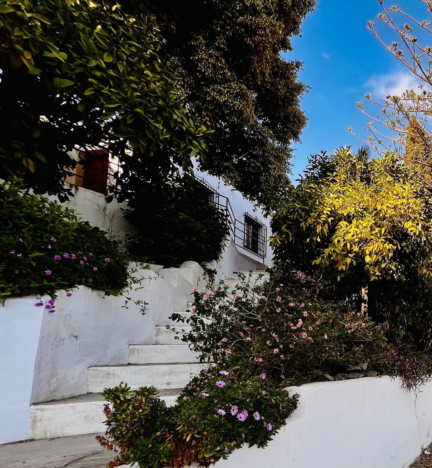 Terrein van de accommodatie