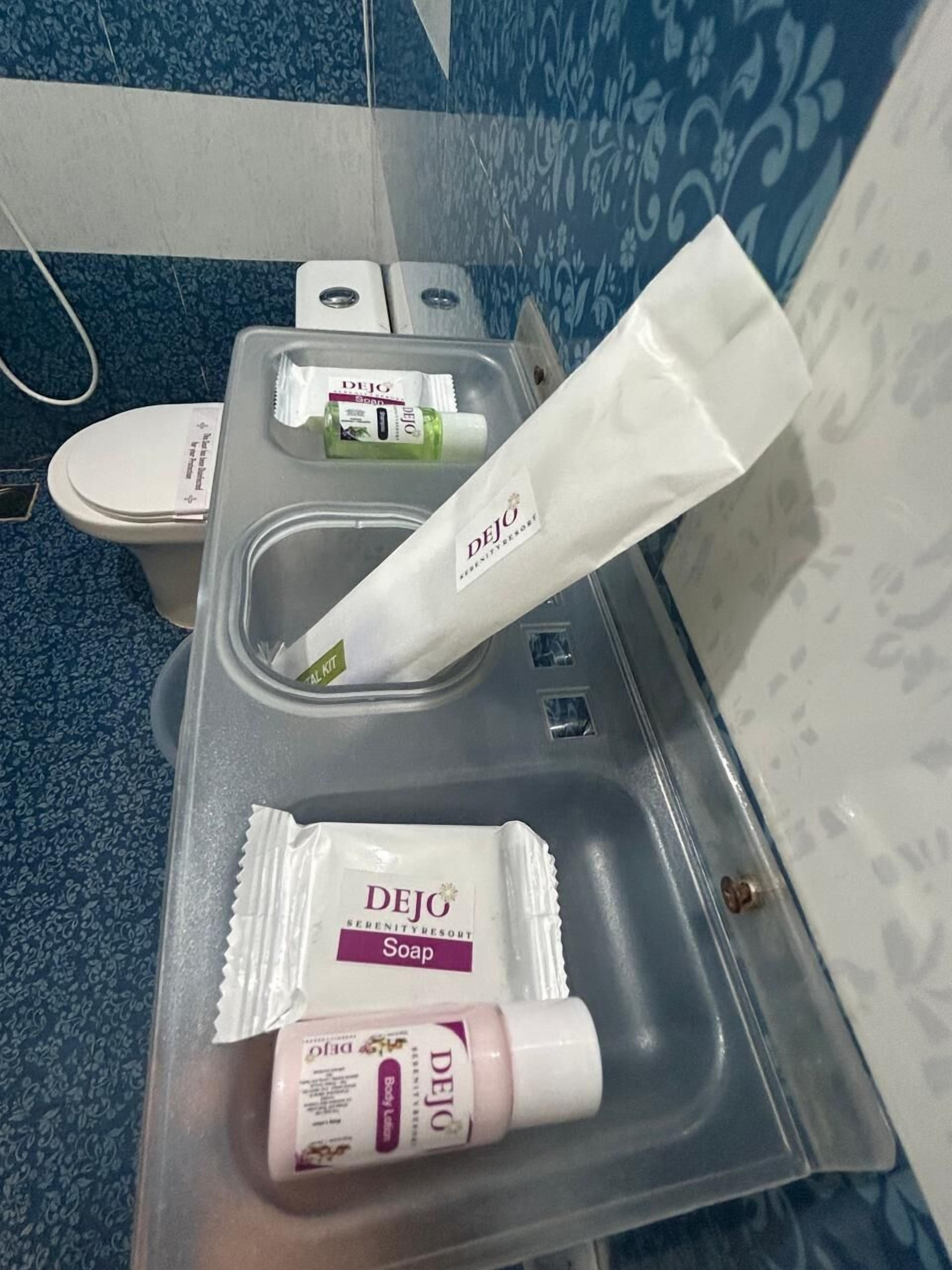Ein Badezimmer mit Waschbecken, Toilette und Pflegeprodukten, darunter Deja Soapy Body Lotion und Deja Soapy Body Wash.