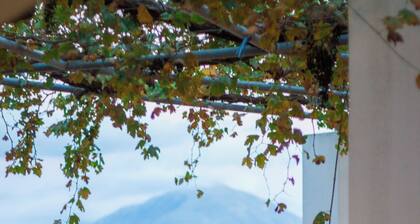 Authentische kretische Villa,privatem Pool & Grillplatz in der Nähe von Rethymno