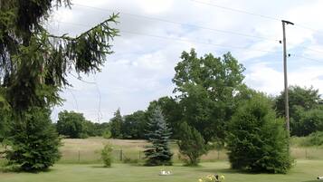 A grassy field with trees, a birdhouse, and a bird feeder.