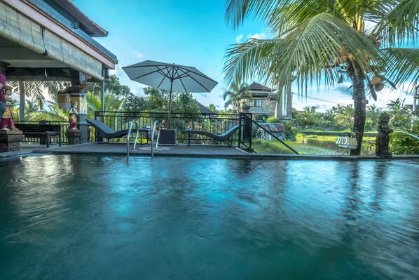 Pool - Deluxe Room in Ubud Center Adi Bisma (Bali)