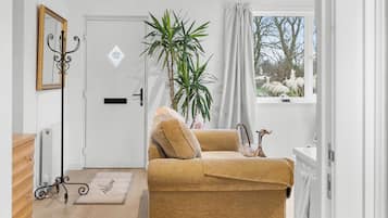 Una Smart TV, libros