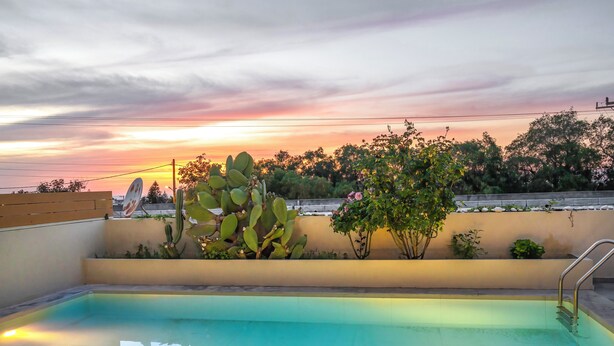 Una piscina con vista al atardecer, rodeada de cactus y plantas con flores.